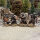 Undead Legion Hearthguard (4 Figures) - SAGA Age of Magic