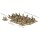 Commonwealth Rifle Platoon (LW)