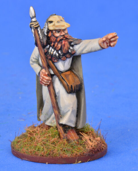 Champion of the Old Gods (Priest/Bishop/Sorceror) - SAGA Swords for Hire/Dogs of War/Sorceror (1 Figure)