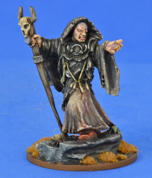 The Seer (Priest/Seer/Sorceror) - SAGA Swords for Hire/Dogs of War/Sorceror (1 Figure)