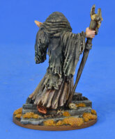The Seer (Priest/Seer/Sorceror) - SAGA Swords for Hire/Dogs of War/Sorceror (1 Figure)
