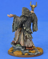 The Seer (Priest/Seer/Sorceror) - SAGA Swords for Hire/Dogs of War/Sorceror (1 Figure)