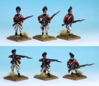 Muskets & Tomahawks: British Grenadiers (War of...