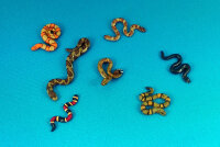 Dead Man`s Hand: Snakes!