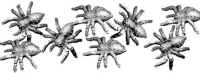 Lost Worlds: Giant Spiders