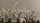 Infantry Command Figures