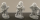 Medium Mortars