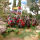 Carolingian Armoured Infantry