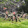 Medieval Warband