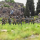 Medieval Warband