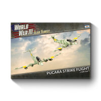 Pucará Strike Flight (Argentina)