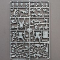 Death Fields: The Damned Brutes