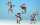 North Star 1672: Gentlemen Fencing