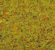 Summer Meadow Green Grass (100g)