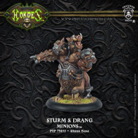 Minions Warlock Sturm & Drang