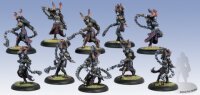 Cryx: Satyxis Raiders