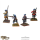 Scots Covenanters Infantry