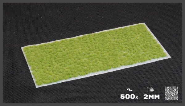 Gamer`s Grass: Tiny Tufts Light Green (2mm)