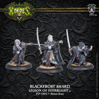 Legion of Everblight Blackfrost Shard Character Unit