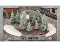 Small Pine Wood: Winter