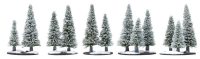 Small Pine Wood: Winter