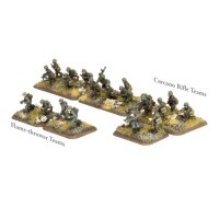 Engineer Platoon (LW)