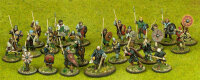 SAGA Starter Army - Anglo-Danish Warband