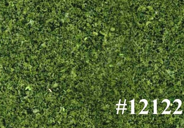 Ziterdes: Forest Undergrowth - Olive