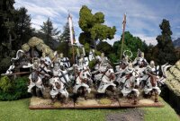 Crusaders and Western Europe: Teutonic Knights