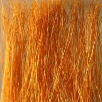 Ziterdes: Reed/Field Grass - Brown