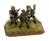 Anti-tank Platoon (ANZAC)