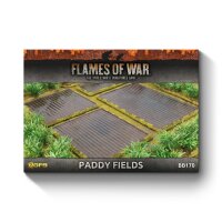 Features: Paddy Fields