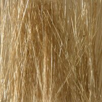 Ziterdes: Reed / Field Grass - Beige