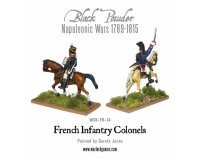 Mounted Napoleonic French Infantry Colonels