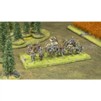 Polish-Lithuanian Commonwealth: Volunteers