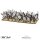 Anglo-Zulu War: Married Zulu Impi