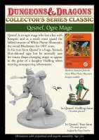 D&D: Qesnef, Ogre Mage