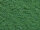 Structured Flock - Bright Green, Medium