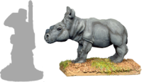 Rhinoceros Calf
