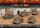 M3 Lee Tank Platoon (MW)