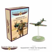 Blood Red Skies: Kawanishi N1K-1 Shiden Ace - Kaneyoshi Muto