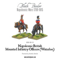 Mounted Napoleonic British Infantry Officers (Waterloo)