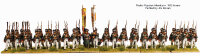 Russian Napoleonic Infantry 1809-14