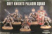 Paladine der Grey Knights