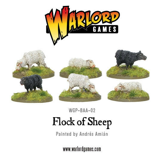 Flock of Sheep