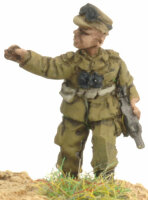 Israeli Command Teams