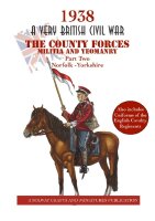 1938: A Very British Civil War - The County Forces:...