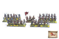 By Fire &amp; Sword: Imperial Skirmish Force