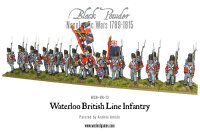 Napoleonic Waterloo British Line Infantry