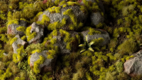 Gamer`s Grass: Moss 2mm